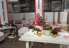 Tanya Carvalho of Selecta one. With a new avenue for supply opened up for the United States for Dianthus, visitors were very happy to speak with Tanya Carvalho, territory manager for Selecta One North America, about what is new in this class. Take a look at Dianthus Capitan Magnifica, with its large, tall blooms perfect for patios and landscapes. "There are also new options for indoor floral potted carnations like Pink Kisses and I Love U. They pair well with Mandala Kalanchoe."